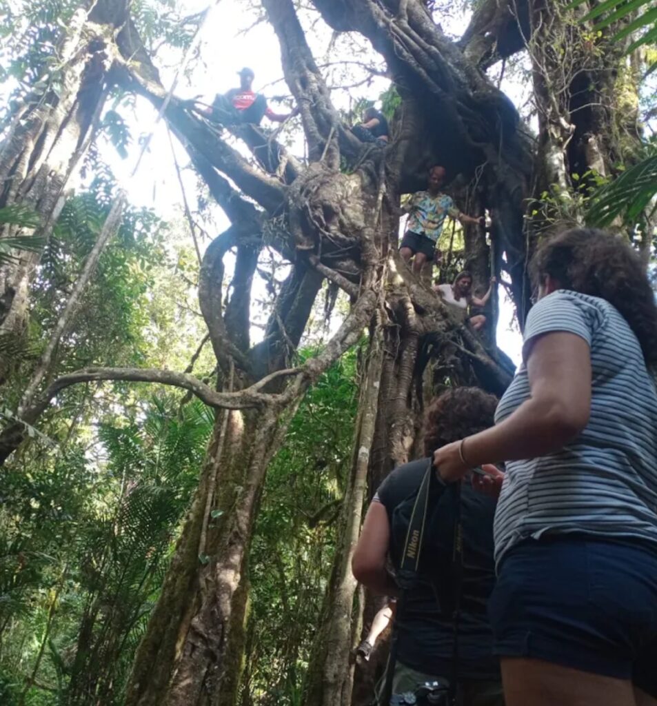 Bali Twin Lake Jungle Trekking