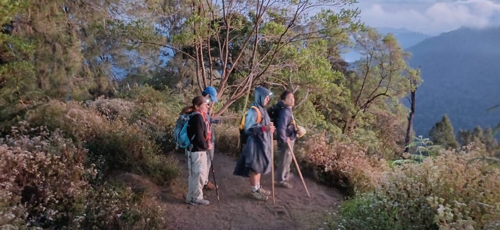 Mt Sanghyang sunrise trekking experience