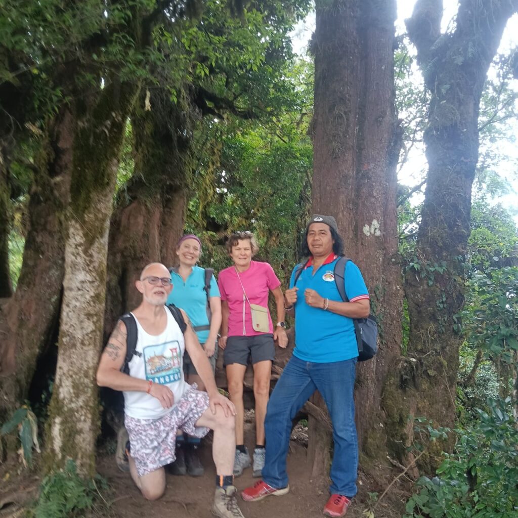 Book the trekking tour with Bali Local Guide