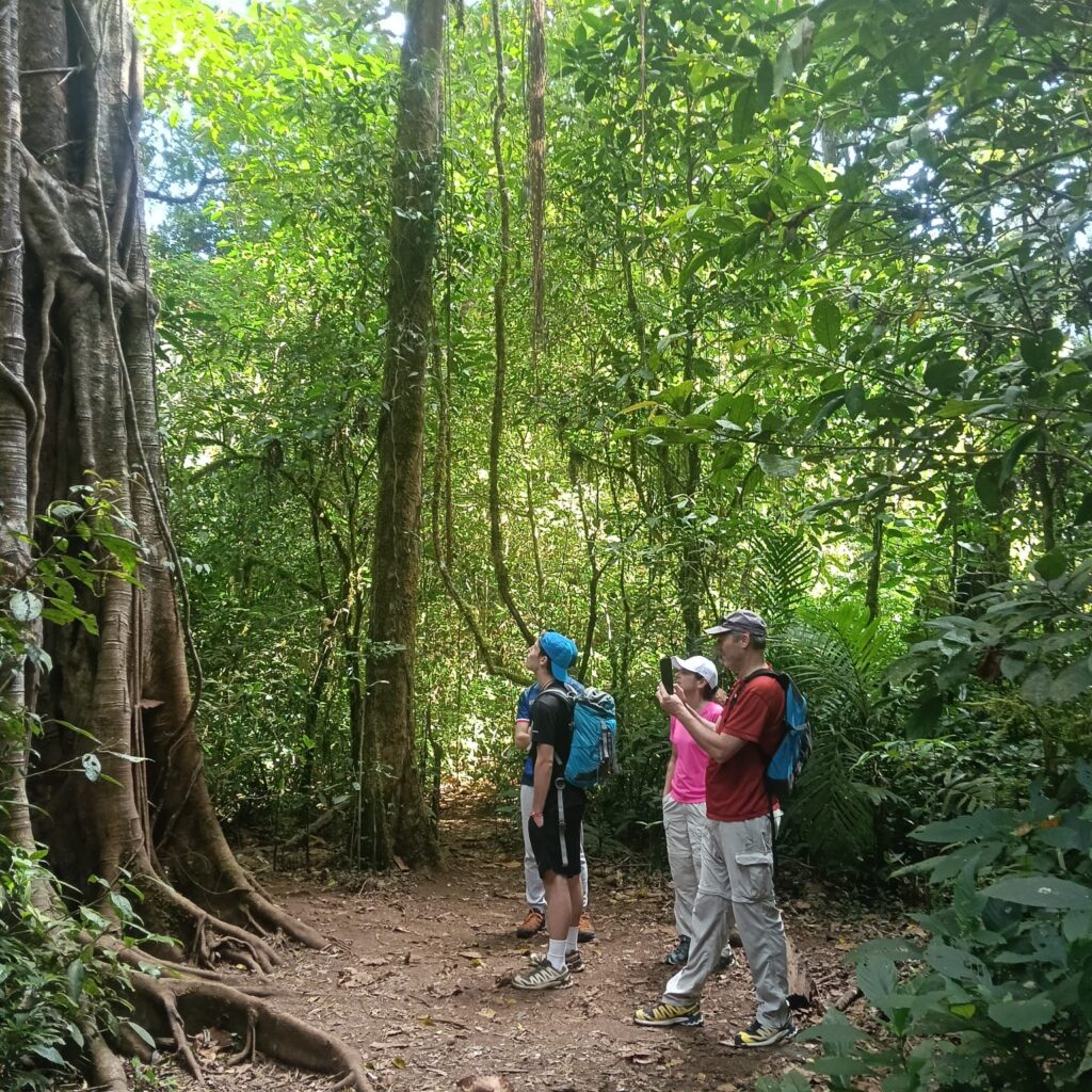 Bali Twin Lake Jungle Trekking Tour