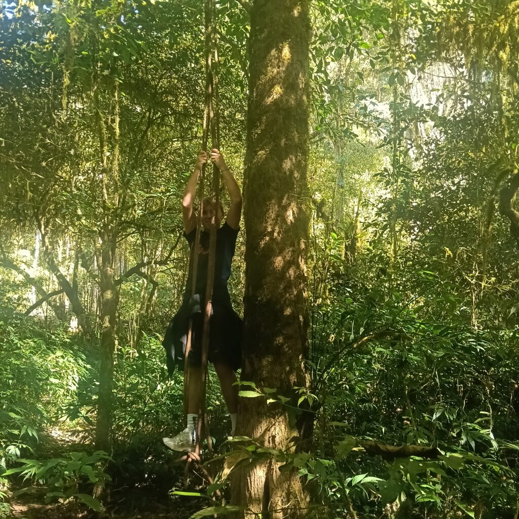 Twin Lake Jungle Trekking Planning Guide – Everything You Need to Prepare