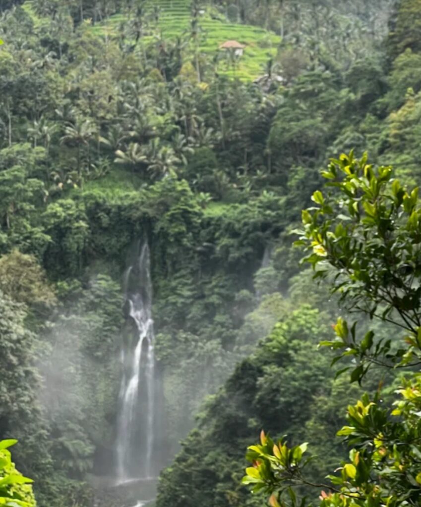 sekumpul waterfall trekking tour