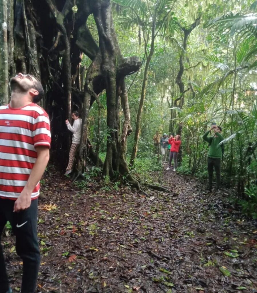 Tamblingan Rainforest Trek