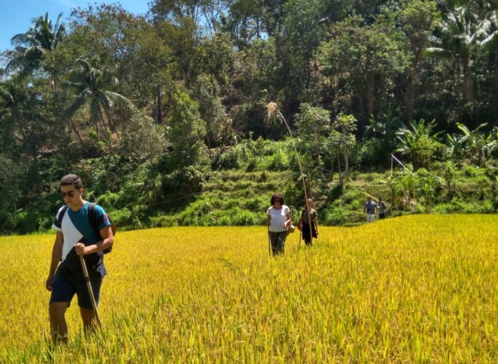 one of the best Trekking in Bali