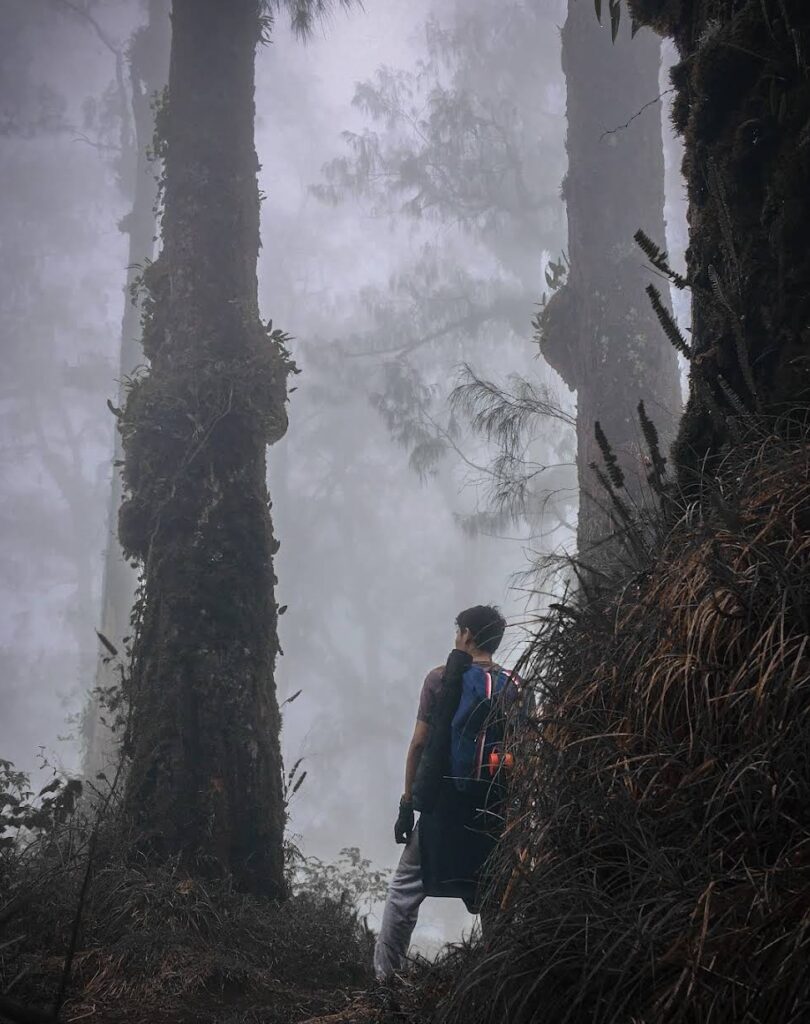 Mount Batukaru Sunrise Trekking Tour