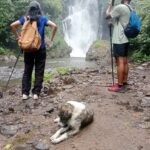 Waterfall Jungle Trekking