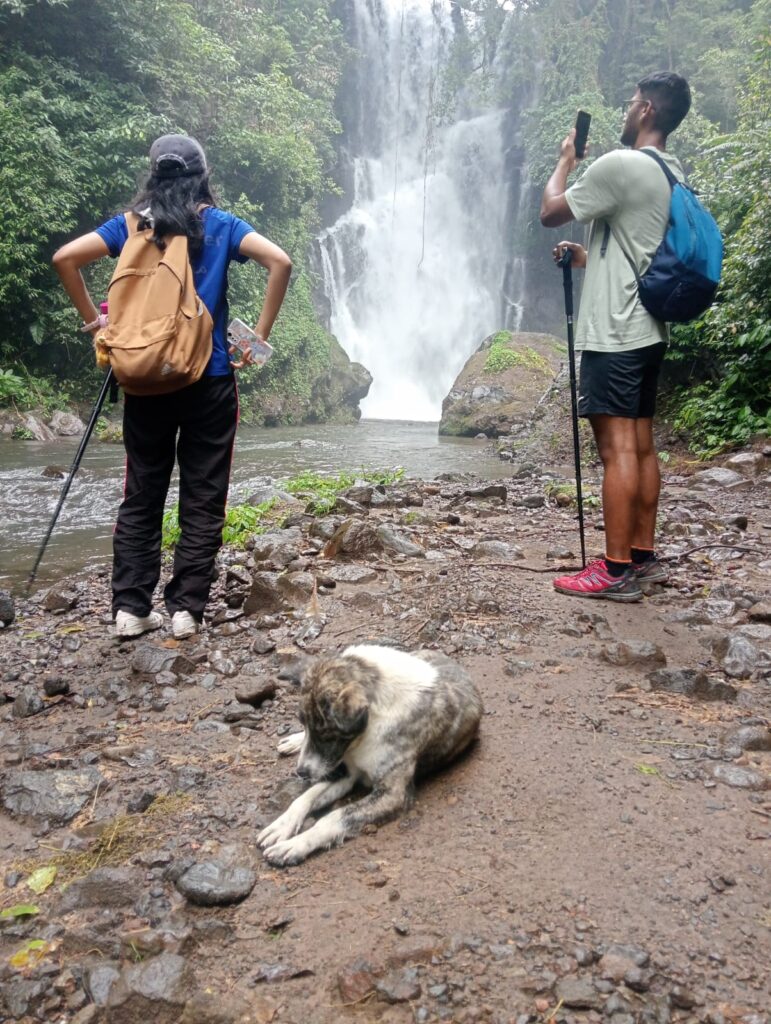 Waterfall Jungle Trekking