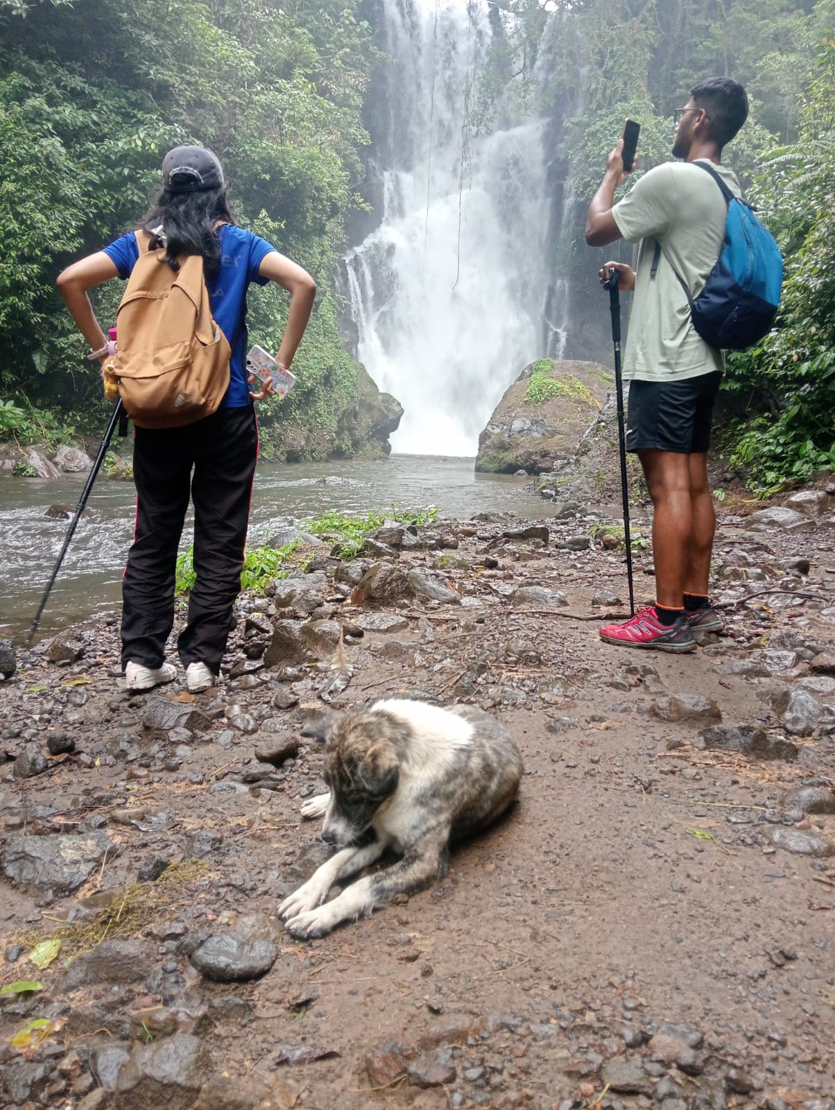 Waterfall Jungle Trekking