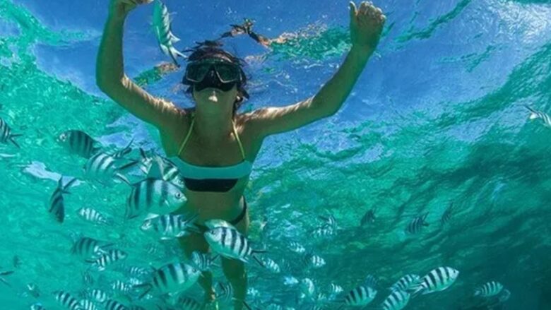 Snorkeling at Menjangan Island