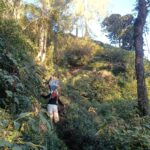 Adventurers trekking through Mt Sanghyang jungle