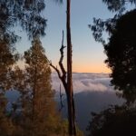 Mt Sanghyang jungle trekking adventure