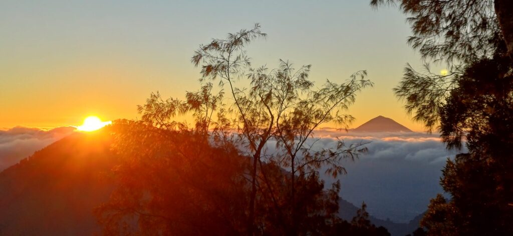 Mt Sanghyang mountain trail surrounded by forest