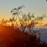 Mt Sanghyang mountain trail surrounded by forest