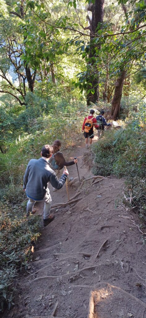 Trekking through dense forest on Mt Sanghyang