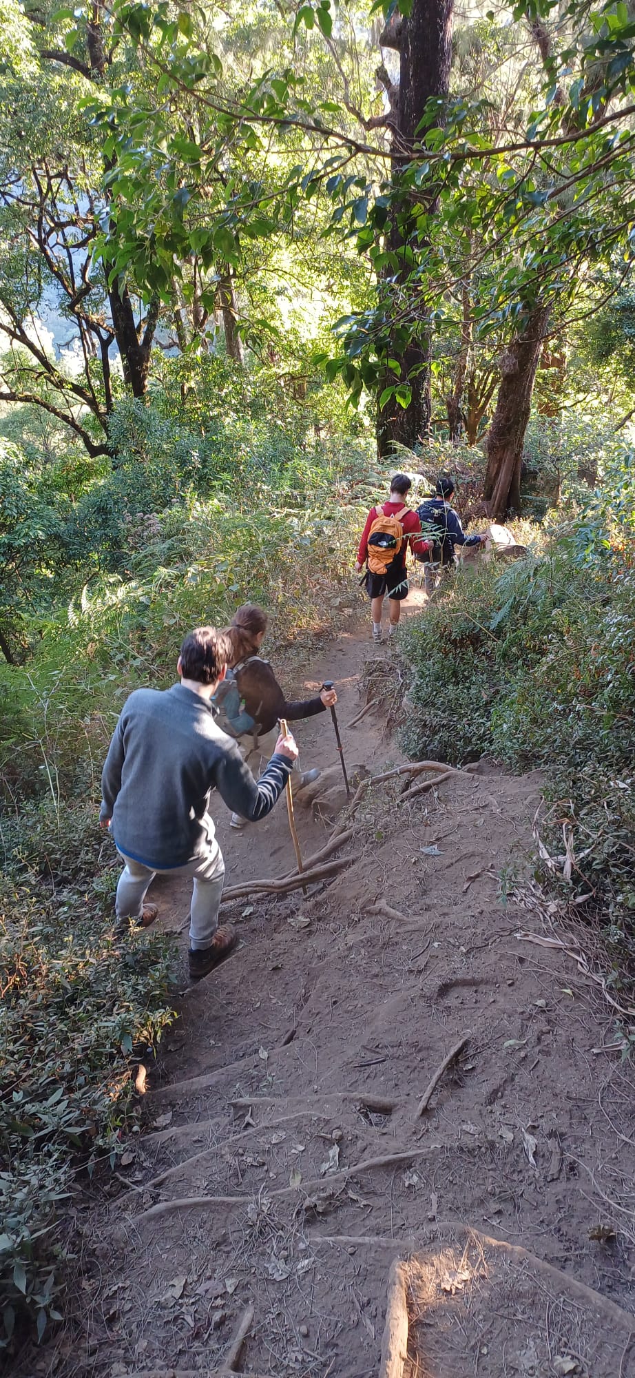 Trekking through dense forest on Mt Sanghyang
