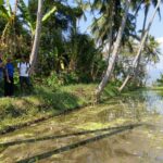 Mayong Village trekking through lush green rice terraces in Bali