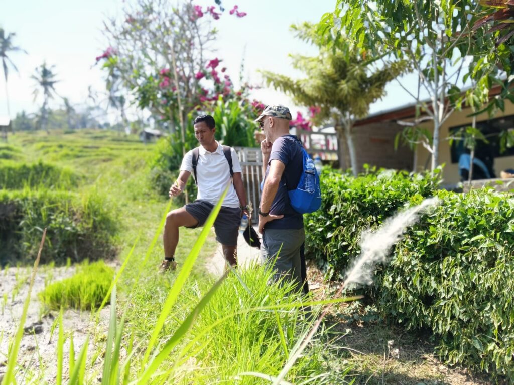 Traditional Balinese village scenery during Mayong Village trekking