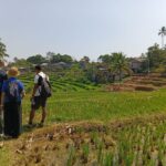 Beautiful green rice terraces and mountain scenery in Mayong Bali