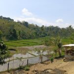 Beautiful nature and rice terraces on a Mayong Village trekking tour