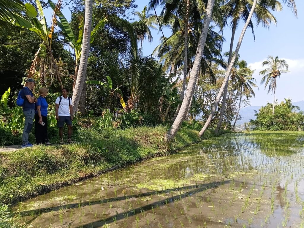 Walking around mayong village north Bali
