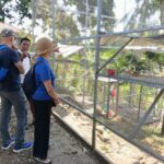 Walking tour in mayong village