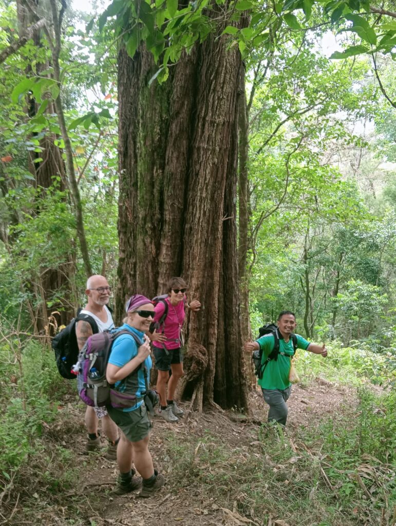 Hiking to Mt Lesung with Local Guide