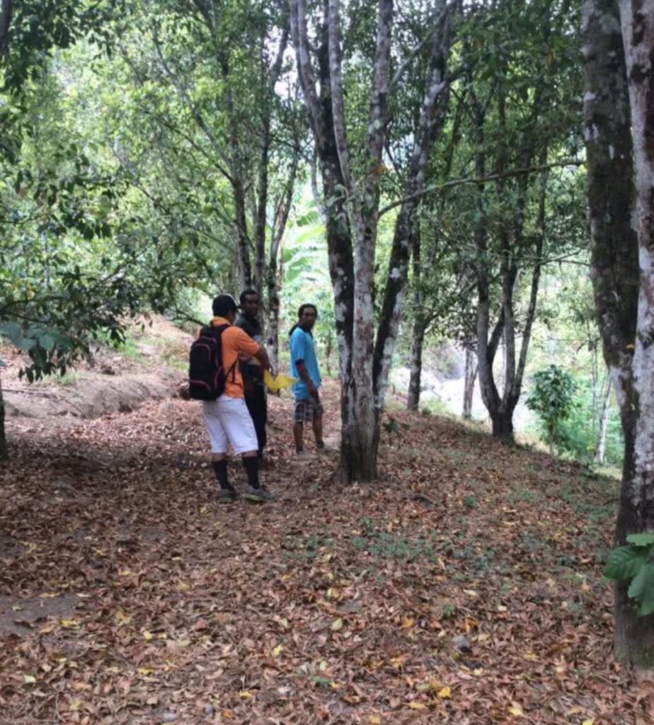 North Bali Was Still Outside the Main Tourism Conversation