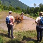 Our Trekking Perspective: How Bali Local Tour Guide Sees the Trails