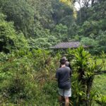 Scenic jungle trail connecting Lake Buyan and Lake Tamblingan on the Twin Lake Jungle Trek.