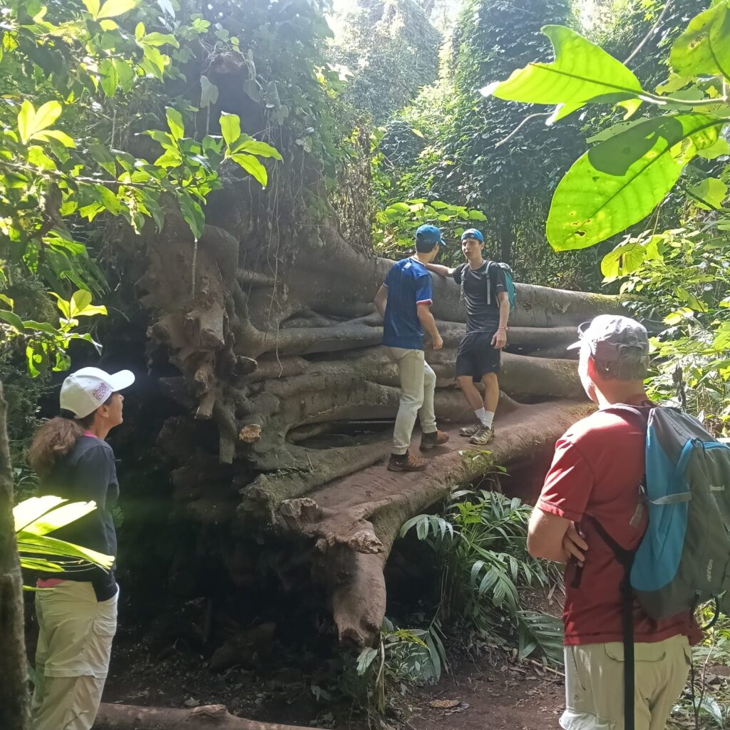 A Journey Through Sacred Forests, Hidden Temples, and Ancient Lakes