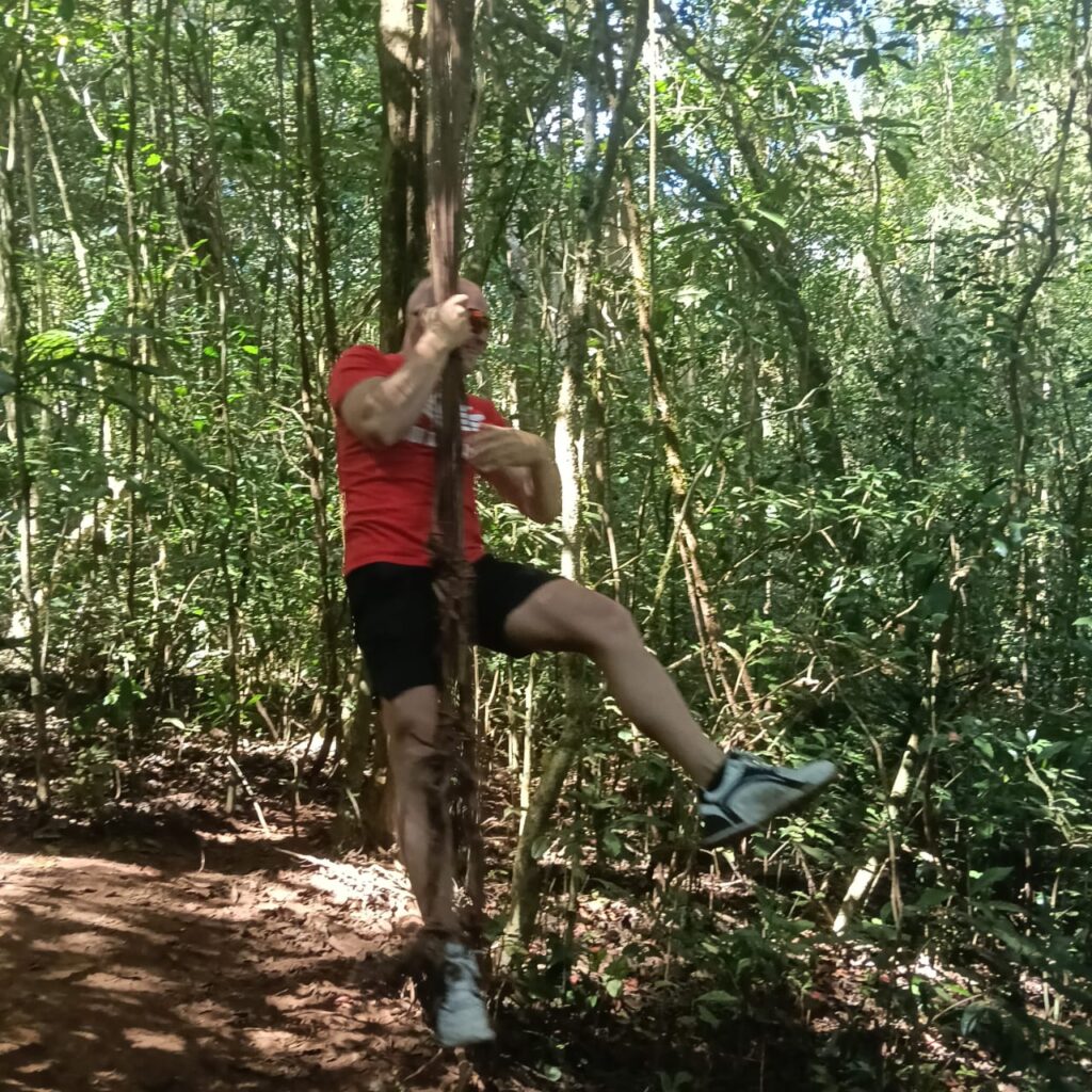 Adventurous traveler swinging from a tree like Tarzan in the wild Tamblingan forest during a guided Twin Lake Jungle Trekking adventure with a local guide