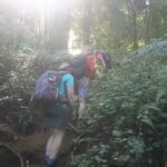 Tropical jungle scenery along the trekking route of Mount Lesung.