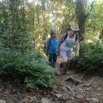 Lush greenery and natural forest trails during a Mount Lesung trekking adventure