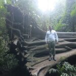 take a picture at the front of big died tree in the jungle