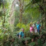 Mount Lesung Jungle Trekking package