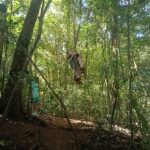 Traveler enjoying a fun jungle swing among ancient trees and tropical vegetation while exploring Lake Tamblingan with an experienced local guide.