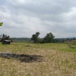Mountainous countryside surrounding the agricultural area of Jatiluwih in Bali.