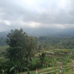 Everyday village life in a traditional Balinese community near Jatiluwih