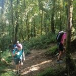 Group of trekkers navigating the dense forest paths of Mount Lesung.