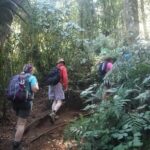 Adventurers exploring the green rainforest landscape of Mount Lesung