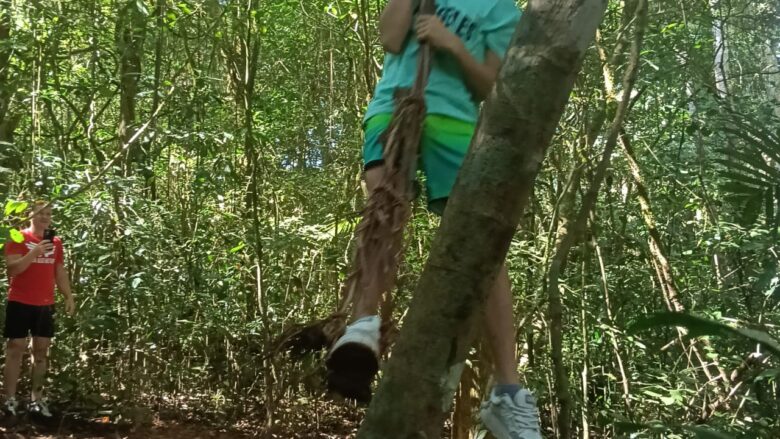 Visitor enjoying a natural rope swing surrounded by the lush tropical jungle of Twin Lake, North Bali.