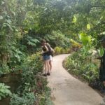 Visitors learning about coffee plants growing among the tropical plantations of North Bali.