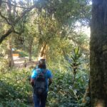 Jungle trekking adventure through the untouched rainforest of Mount Lesung