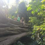 Family enjoying an adventurous tree climbing experience in the Tamblingan rainforest