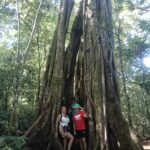 Family discovering hidden natural features and giant trees inside the North Bali rainforest.