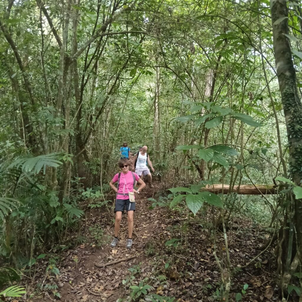Mount Lesung Jungle Trekking adventure