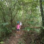 Mount Lesung Jungle Trekking adventure