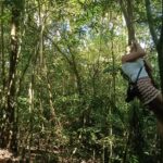 Natural rope swing hanging from a large forest tree along the Twin Lake Jungle Trekking route, offering visitors an authentic jungle adventure with a local guide.