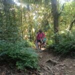 Natural mountain trail winding through dense tropical vegetation on Mount Lesung