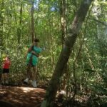 Teenagers enjoying a natural jungle swing surrounded by the tropical forest of North Bali.